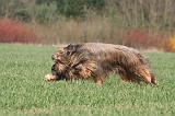 BRIARD 140